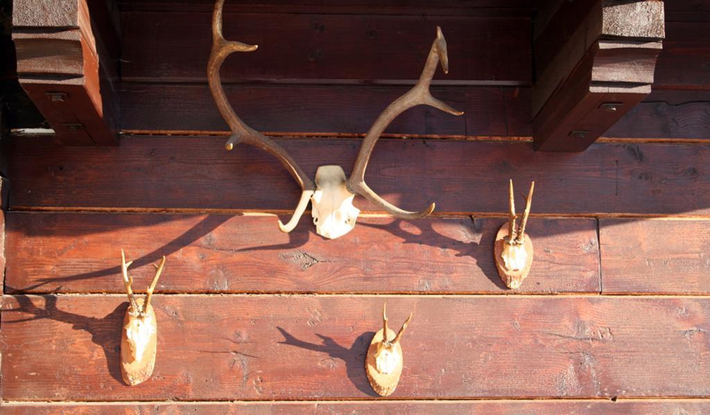 Art-Lodge Kunstpension Afritz Dış mekan fotoğraf